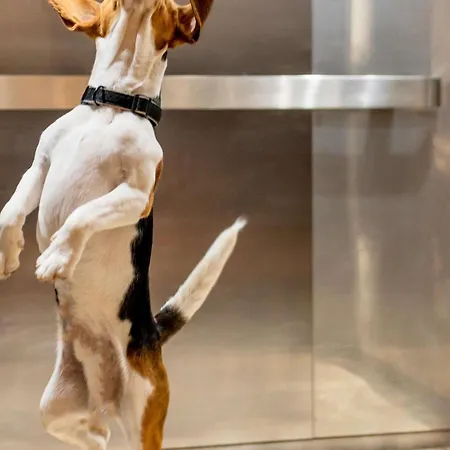 Hotel Ibis Centre Grand Place