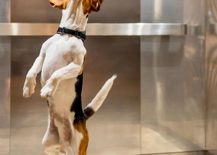 Hotel Ibis Centre Grand Place